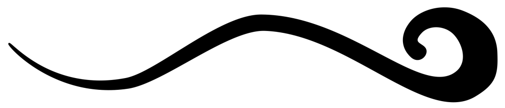 6Tr6KB8nc